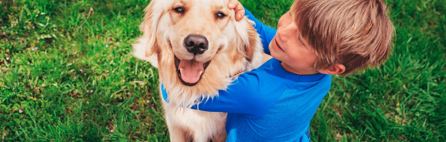 Dog breed Selector hero