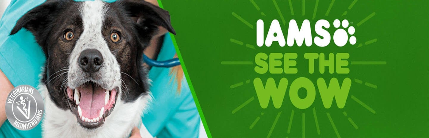 see-the-wow-new-hero-banner