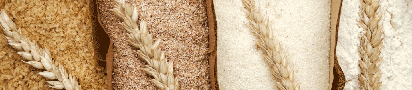 How Wheat is Used in Our Dog Foods