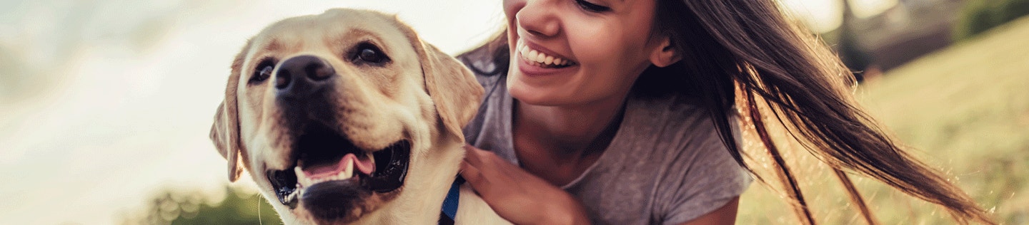 How to Handle Your Adult Dog’s Shedding