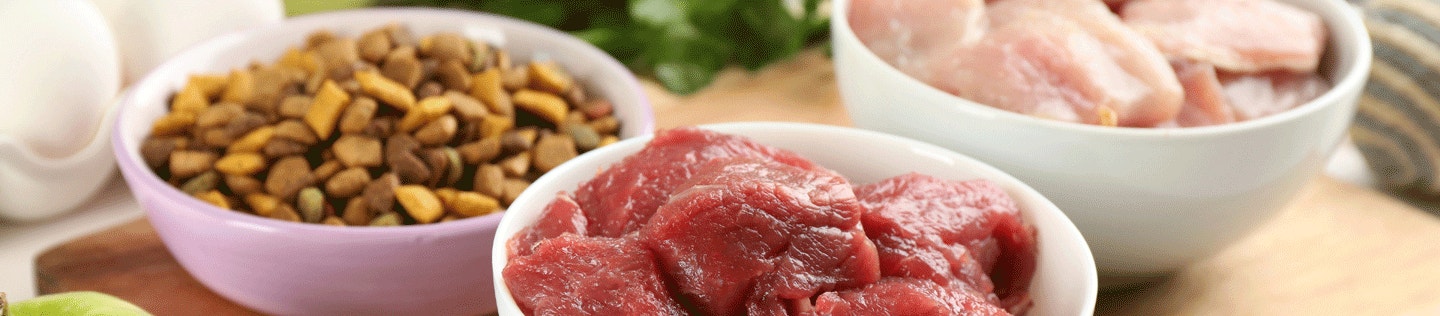 สารอาหารที่สำคัญในอาหารสุนัข