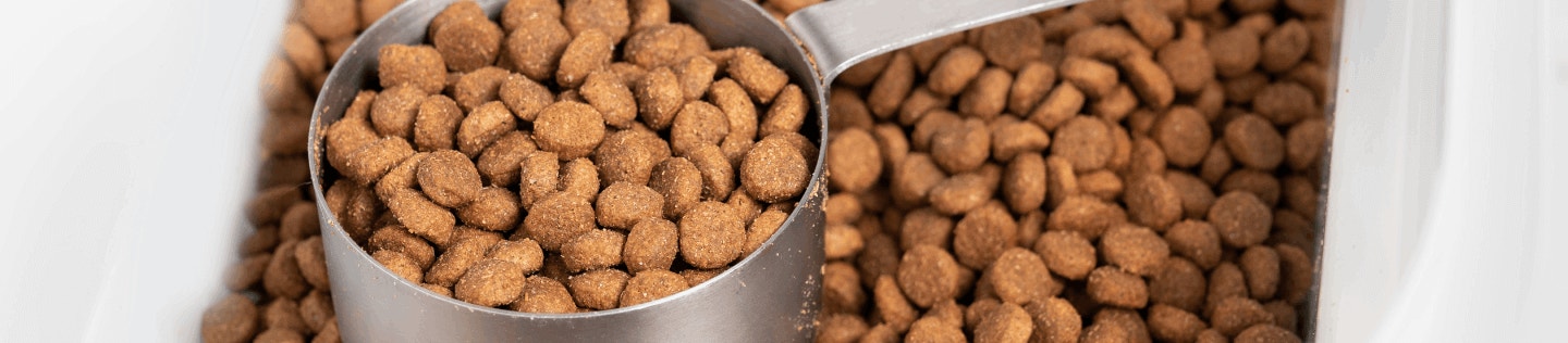 How Sodium Is Used in Our Cat Foods 