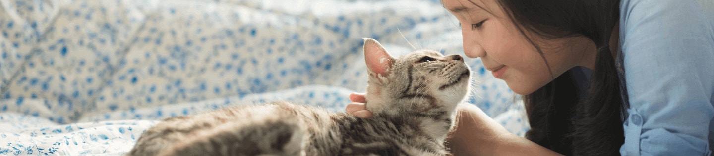 How to Decipher Cat Food Product Labels 