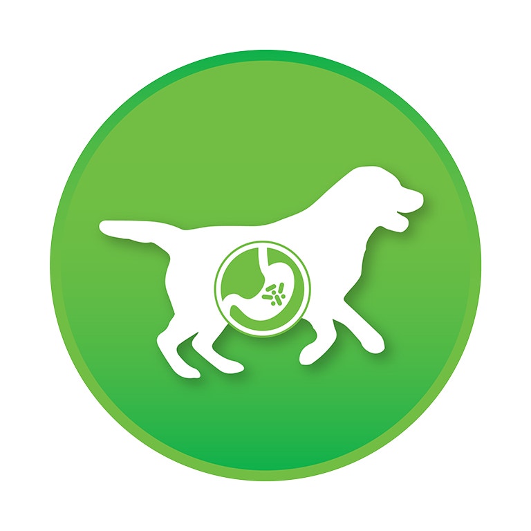 <p><strong>ลดกลิ่นอุจจาระ</strong> – โพรไบโอติกในอาหารเสริมของไอแอมส์™ มีส่วนช่วยลดกลิ่นไม่พึงประสงค์ของอุจจาระได้</p>