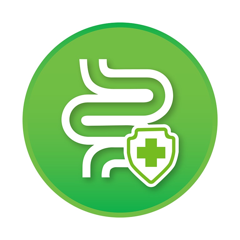 <p><strong>&nbsp;สนับสนุนการทำงานของระบบย่อยอาหาร</strong> – ทั้งพรีไบโอติกและโพรไบโอติกมีบทบาทสำคัญในการรักษาสุขภาพลำไส้ของสุนัข โดยช่วยเสริมการเจริญเติบโตของแบคทีเรียในลำไส้ที่เป็นประโยชน์ ในขณะเดียวกันก็ลดการเจริญเติบโตของแบคทีเรียที่เป็นอันตราย</p>