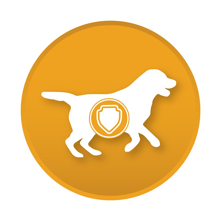 <p><strong>ต้านทานการเกิดโรคร้าย</strong> – อาหารเสริมของเรามีทั้งวิตามินอีและซี ช่วยให้ร่างกายต่อสู้กับการติดเชื้อแบคทีเรีย เชื้อรา ไวรัส และปรสิตได้เป็นอย่างดี</p>