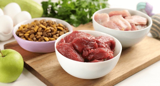 สารอาหารที่สำคัญในอาหารสุนัข